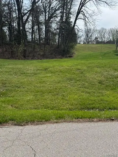 Lot 107A - Cedar Circle Drive, Ste Genevieve, MO 63670 - #3