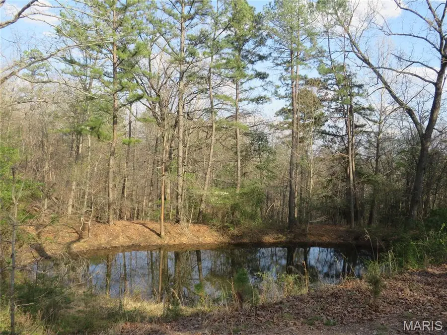 54938 Highway 21, Ellington, MO 63638 - #2