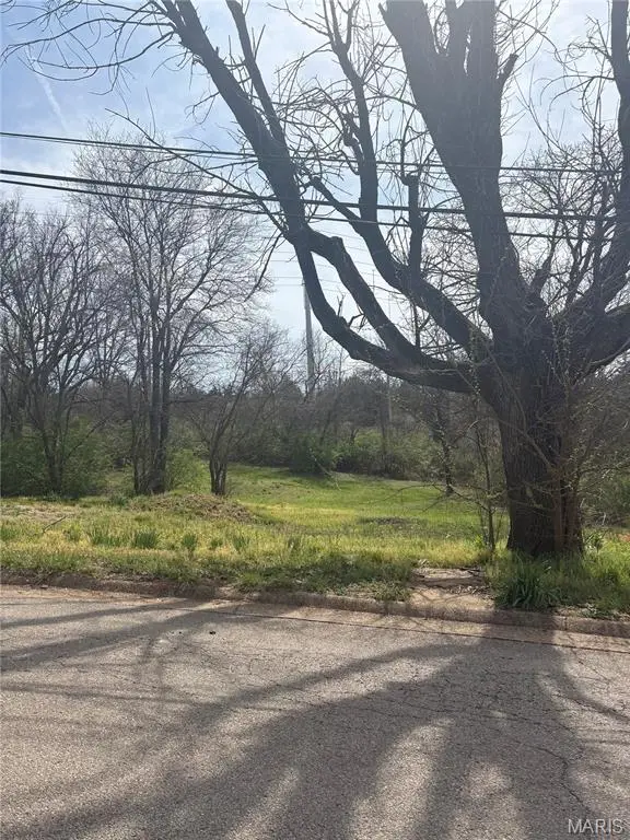 303 Congress Street, Park Hills, MO 63601 - #2