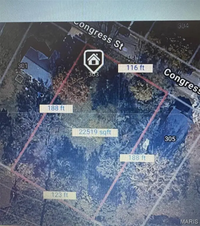 303 Congress Street, Park Hills, MO 63601 - #3