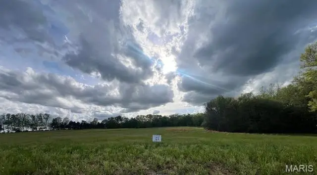 Lot 25 Holt Summit Court, Wentzville, MO 63385 - #3
