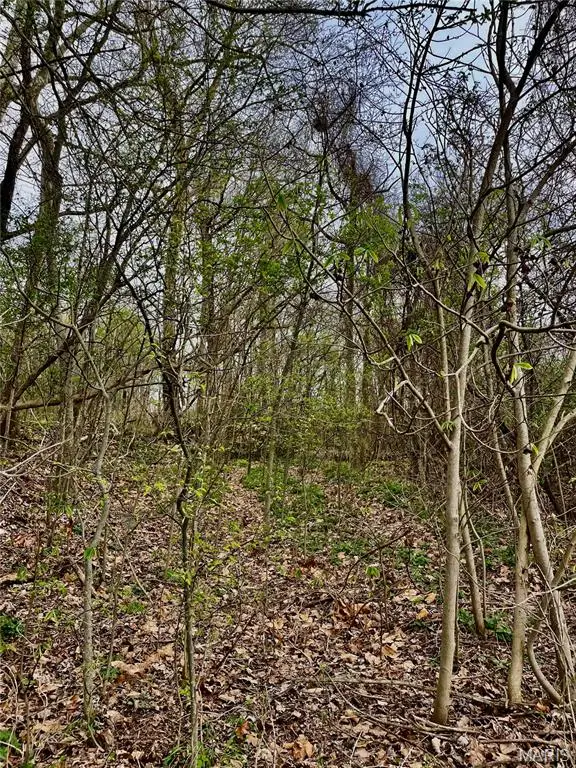 0 County Road 351, Scott City, MO 63780 - #3