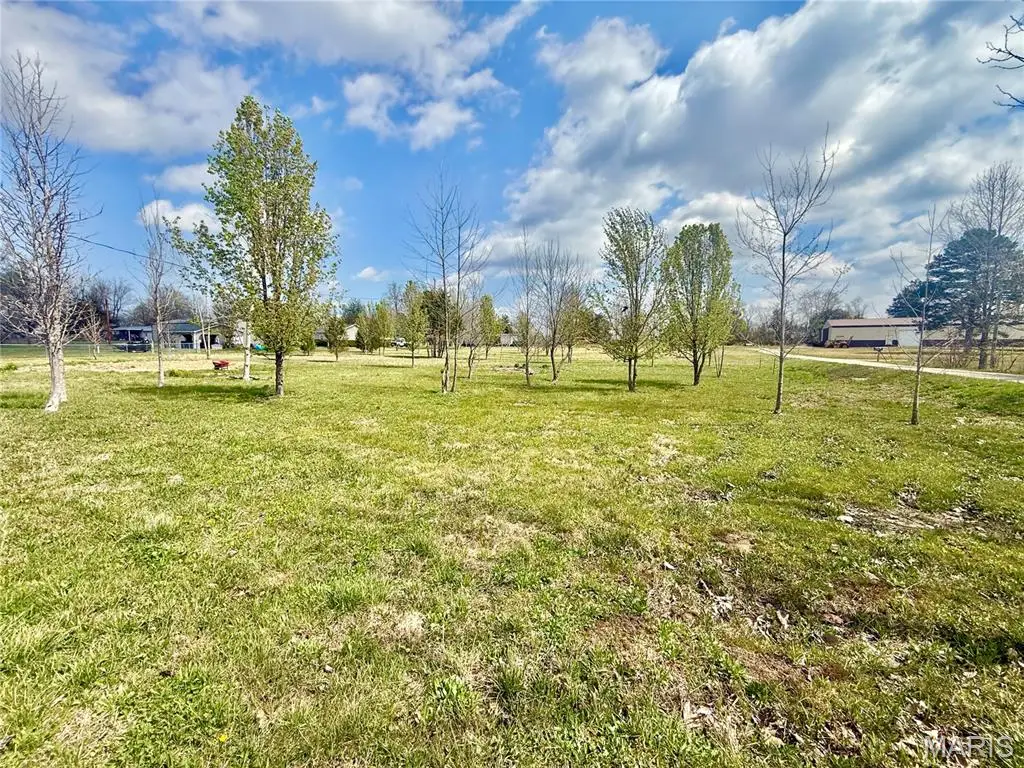 0 County Road 334, Fredericktown, MO 63645 - #1