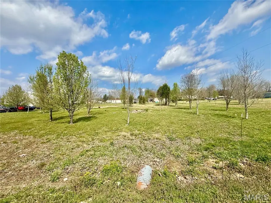 0 County Road 334, Fredericktown, MO 63645 - #3