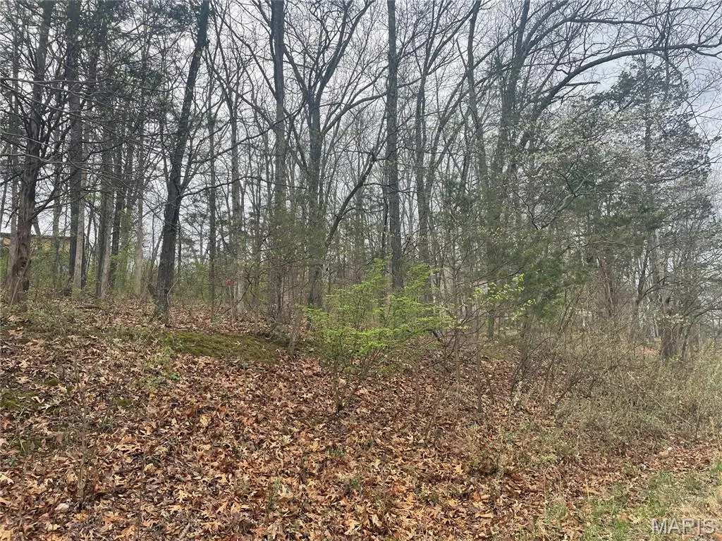 6330 Sparrow Drive, French Village, MO 63036 - #1