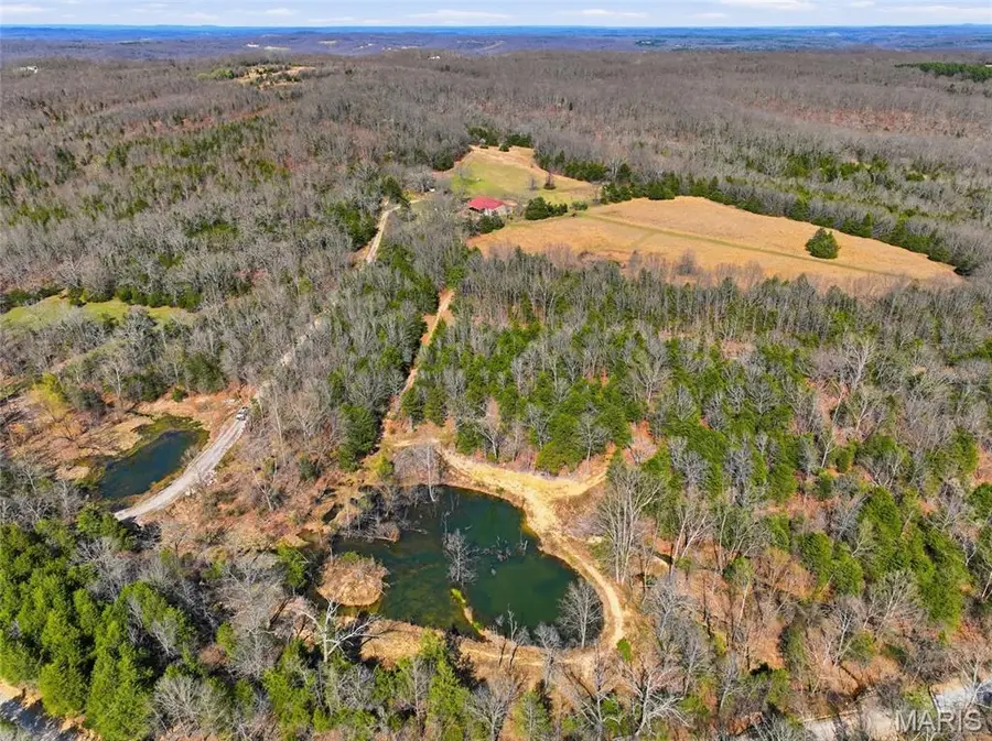 2480 County Road 317, Walls, MO 65773 - #2