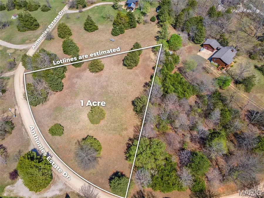 103 Anthonies Mill Road, Johnson, MO 64551 - #3