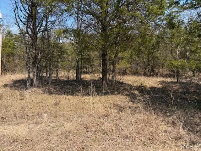 Lot 18 Monet Ct, Bonne Terre, MO 63628 - #2