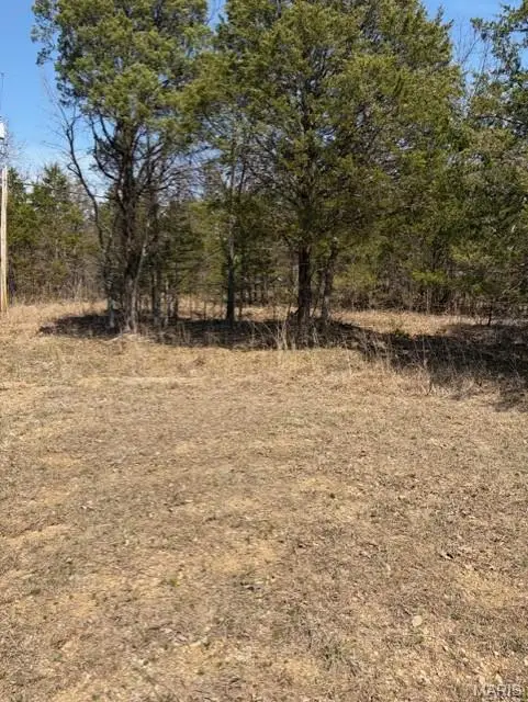 Lot 18 Monet Ct, Bonne Terre, MO 63628 - #3