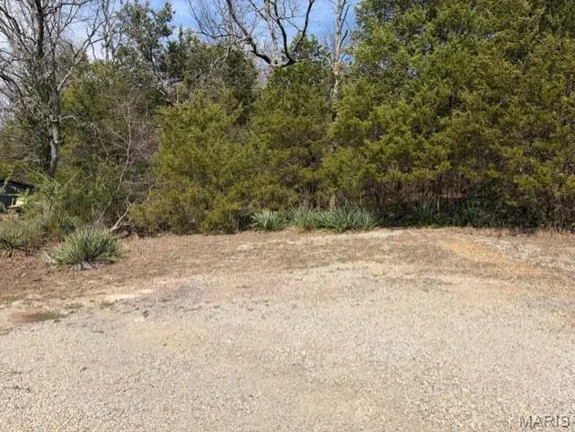 Lot 23 Joan Ct, Bonne Terre, MO 63628 - #2