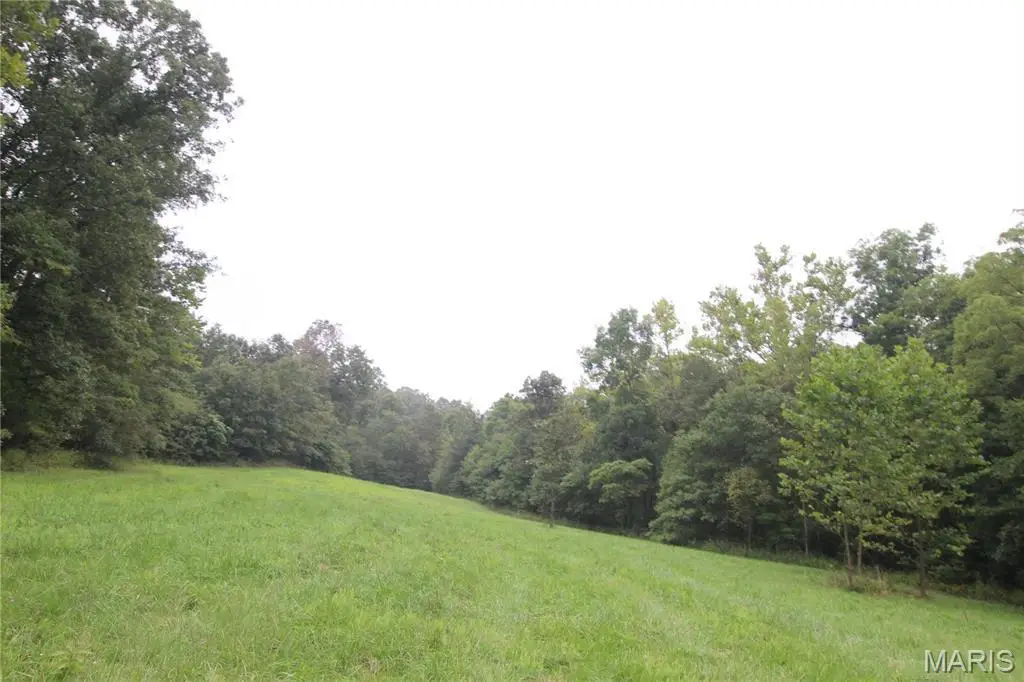 65 +/- Acres Pendleton Lost Creek Road, Warrenton, MO 63383 - #1
