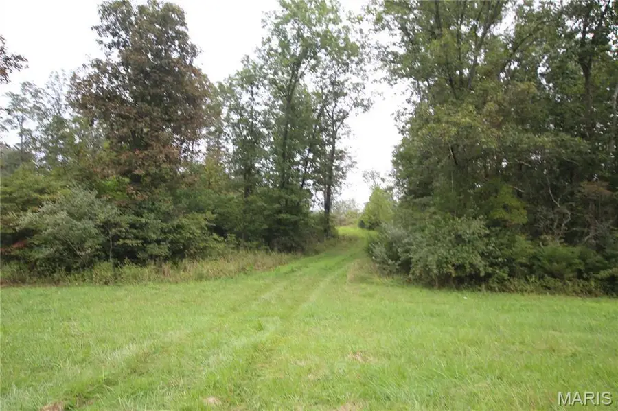 65 +/- Acres Pendleton Lost Creek Road, Warrenton, MO 63383 - #3