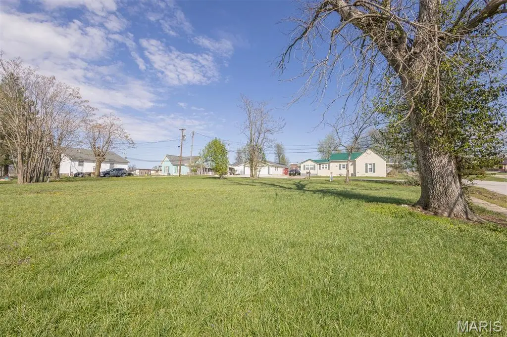 309 E Jefferson Street, Salt River, MO 63462 - #1