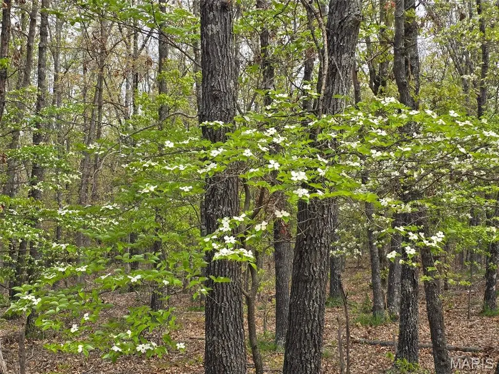 Tract D Golden Lane, Lebanon, MO 65536 - #1