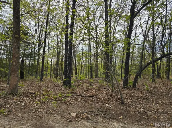 Tract M Greatview Lane, Lebanon, MO 65536