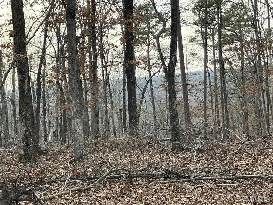 215 Madison Cr 410, Fredericktown, MO 63645 - #2