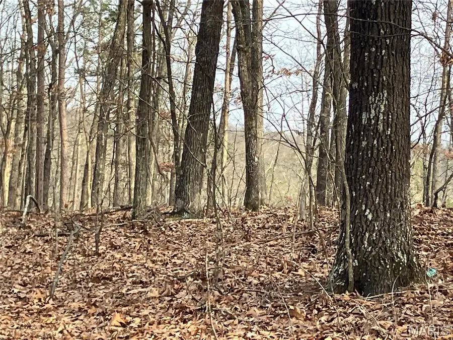 215 Madison Cr 410, Fredericktown, MO 63645 - #3