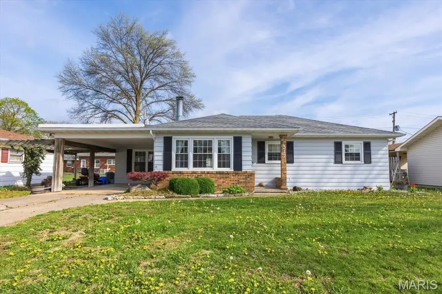 317 W Field Drive, Red Bud, IL 62278 - #2