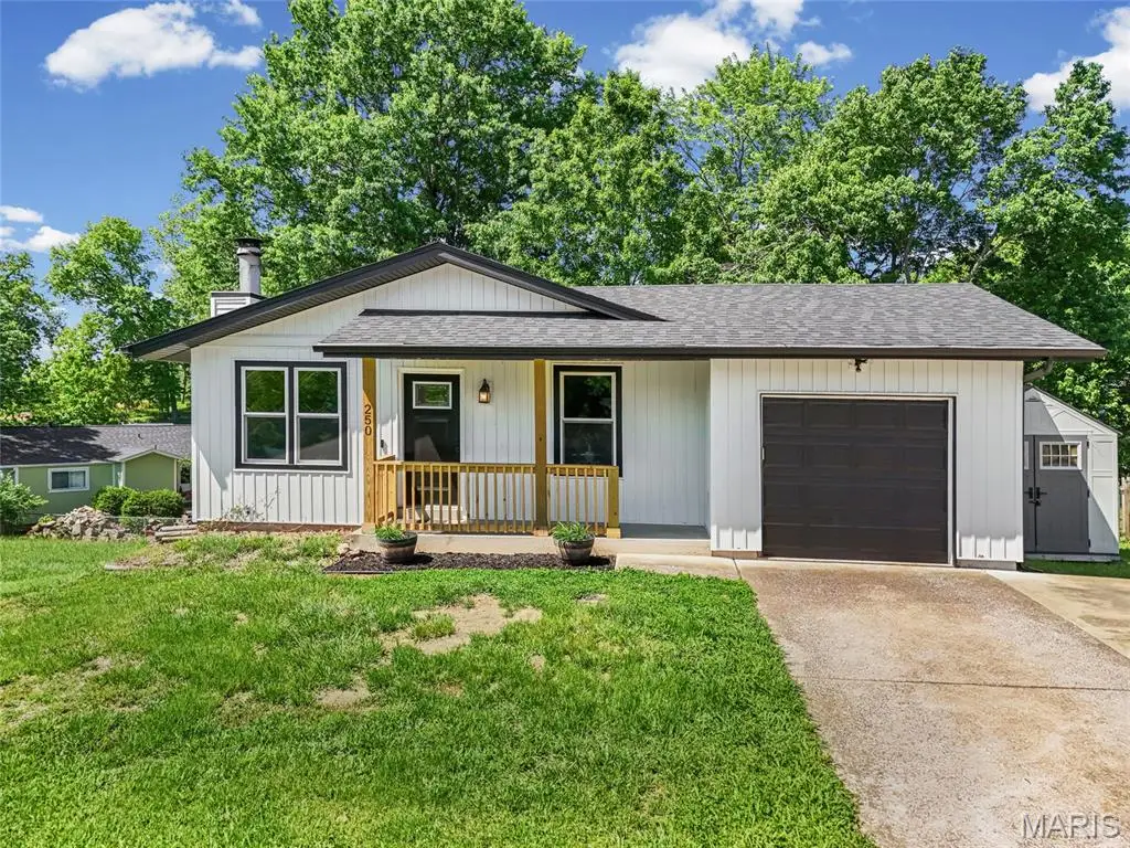 250 Valley View Ridge Drive, Valley Park, MO 63088 - #1
