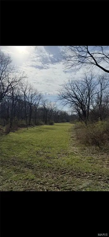 0 Shortcut Rd, Scottville, IL 62683 - #3