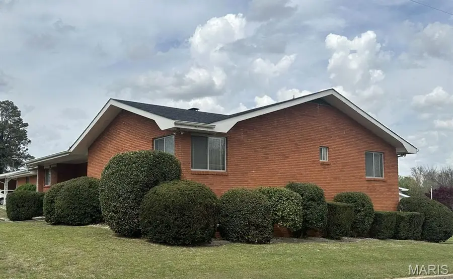 707 Trotter Lane, Dexter, MO 63841 - #3