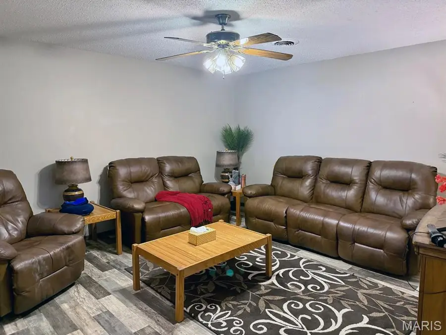 14671 Frontage Road, Dexter, MO 63841 - #3