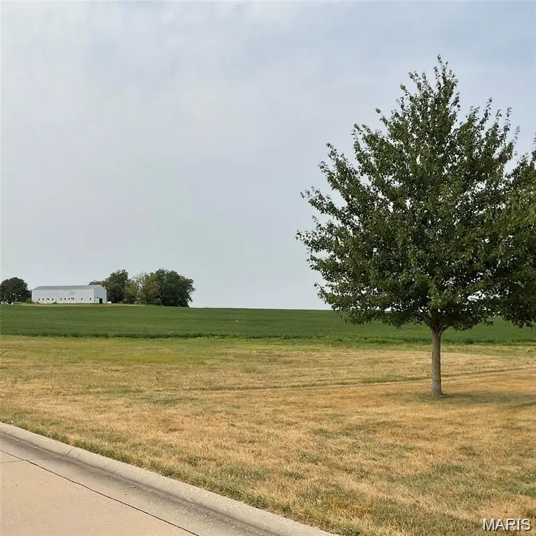 XXX Faith Dr, Highland, IL 62249 - #1