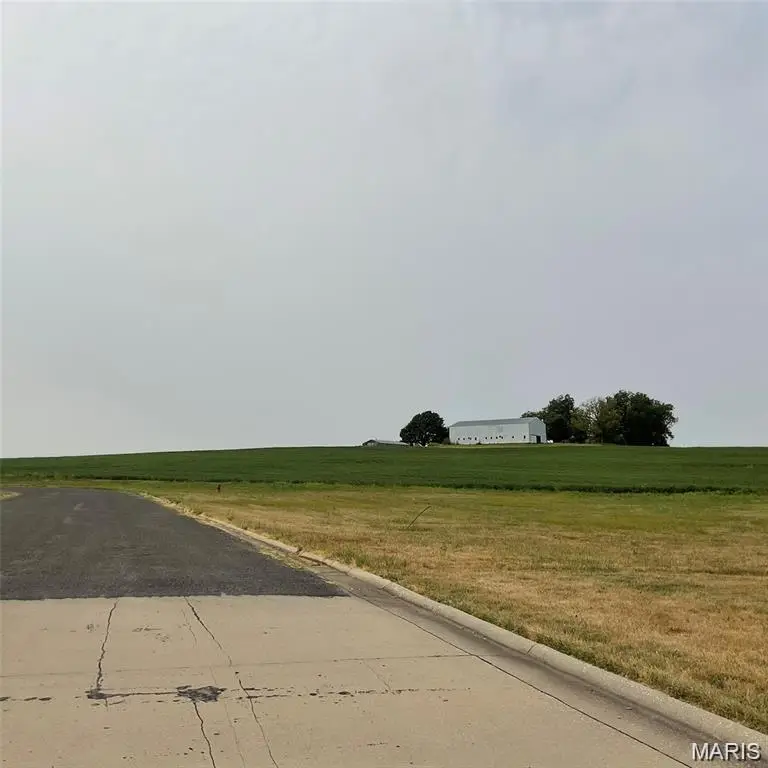 XXX Faith Dr, Highland, IL 62249 - #2