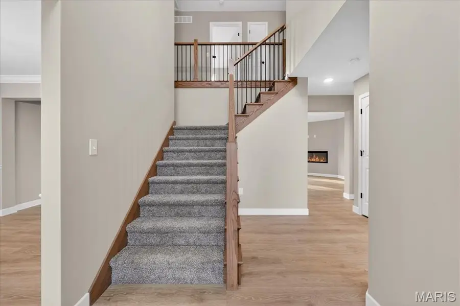 1228 Belclare Court, Ofallon, IL 62269 - #2