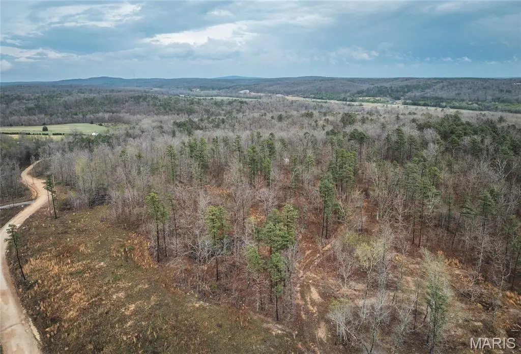 000 County Road 410, Fredericktown, MO 63645 - #1