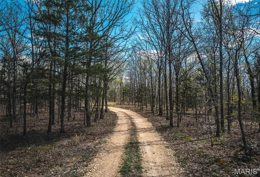 17 acres Cedar Ford Road, Steelville, MO 65565 - #3