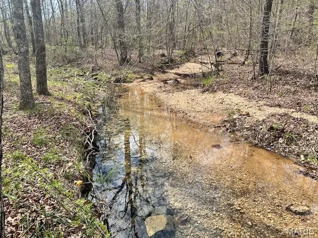 413 Kelley Road, Annapolis, MO 63620 - #1