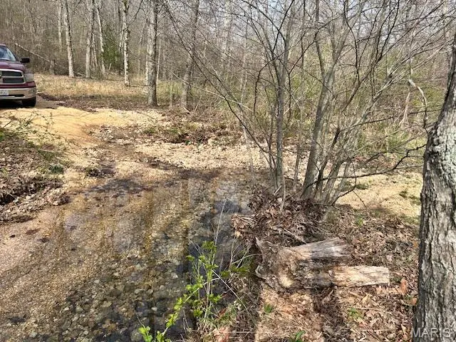 413 Kelley Road, Annapolis, MO 63620 - #2