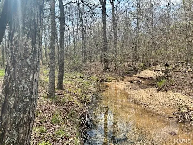 413 Kelley Road, Annapolis, MO 63620 - #3