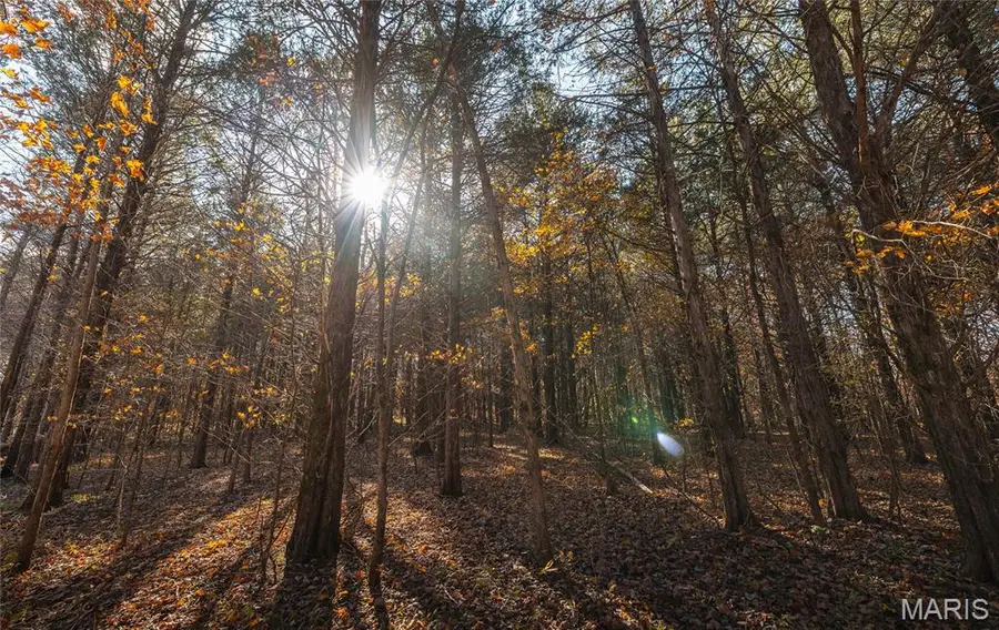 0 Highway 21 Lot 1, Lesterville, MO 63654 - #3