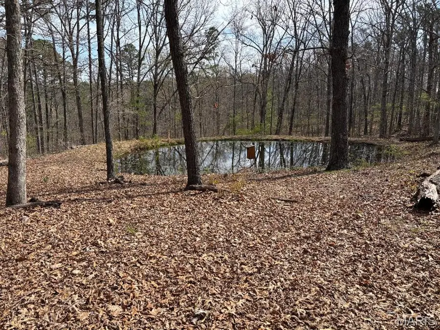 0000 W State Highway 8, Potosi, MO 63664 - #3