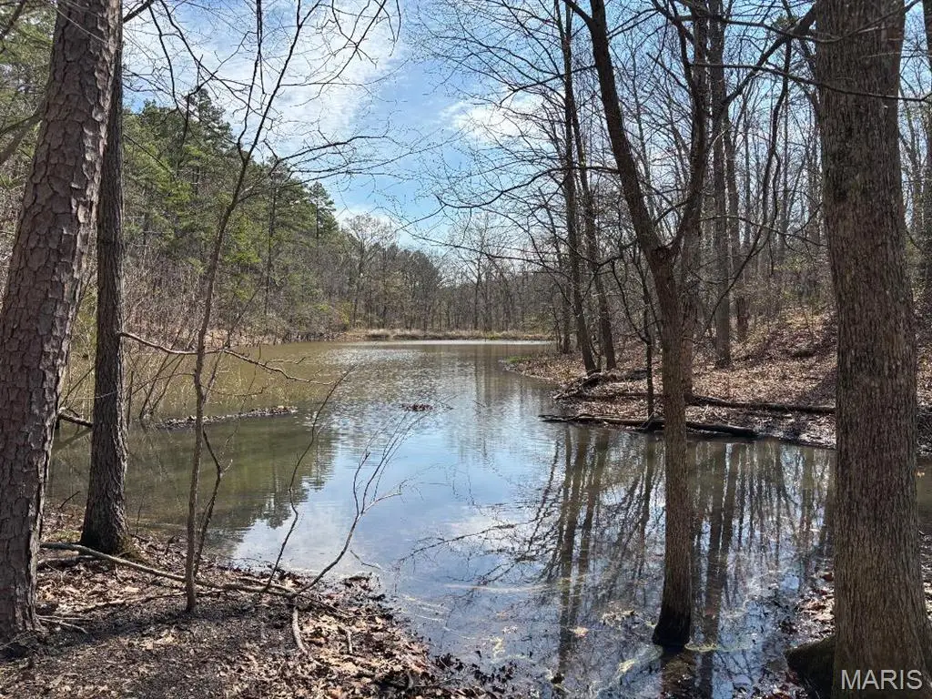 000 W State Highway 8, Potosi, MO 63664 - #1