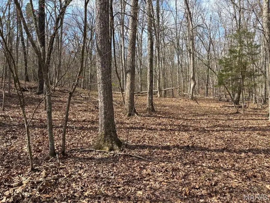 000 W State Highway 8, Potosi, MO 63664 - #3