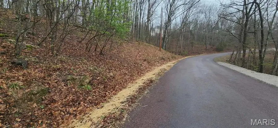 1784 S Lake Sherwood Drive, Marthasville, MO 63357 - #2