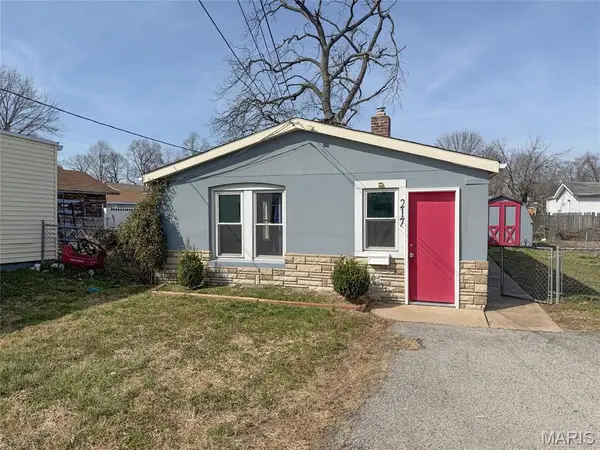 217 W Arlee Avenue, St Louis, MO 63125