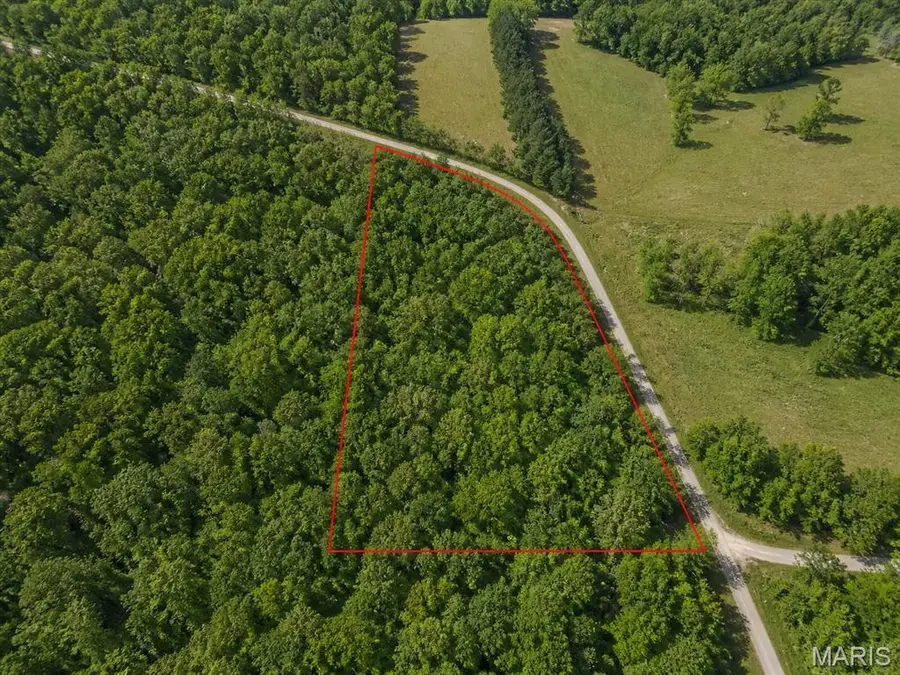0 Cherry Valley Rd, Steelville, MO 65565 - #2