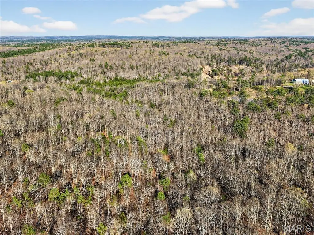 000 County Road 421, Birch Tree, MO 65438 - #1