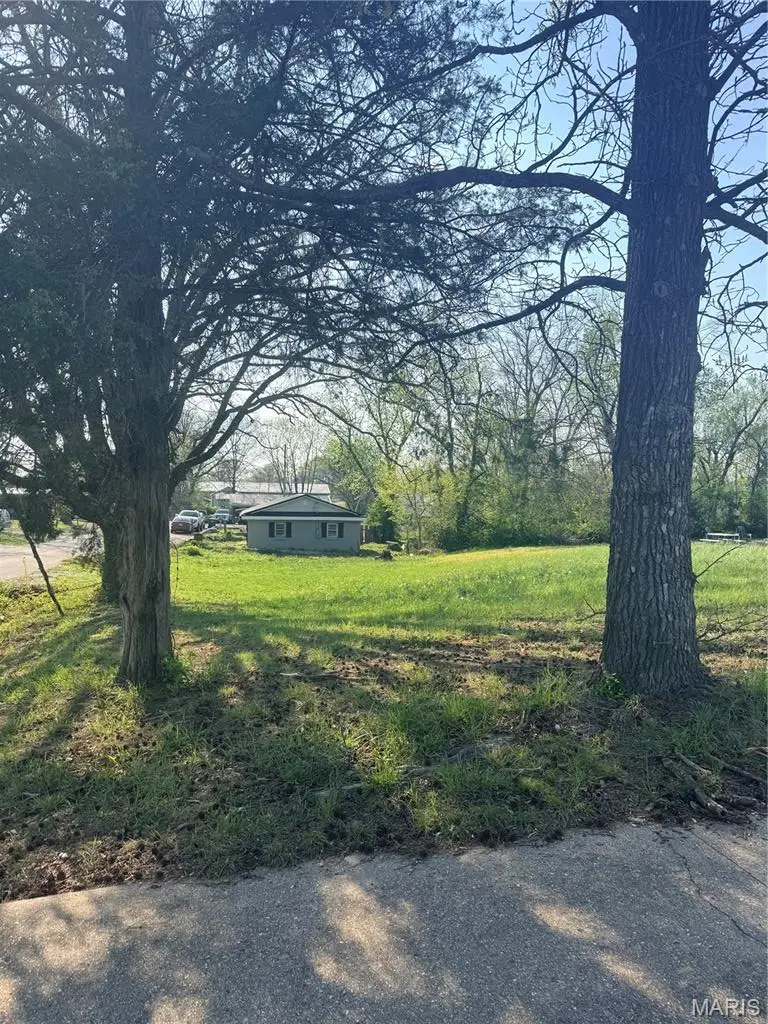 907 S Warfel Street, Salem, MO 65560 - #3