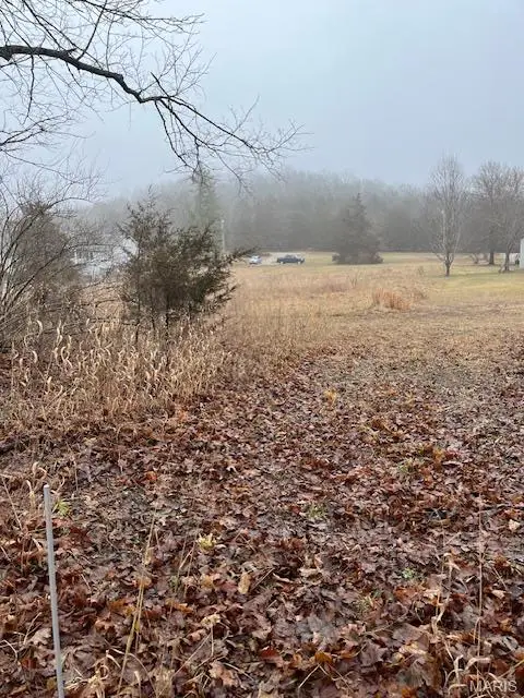 10131 State Road Bb, Hillsboro, MO 63050 - #2