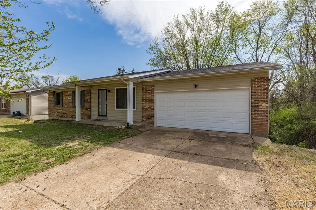 816 Ruth Avenue, Festus, MO 63028 - #1