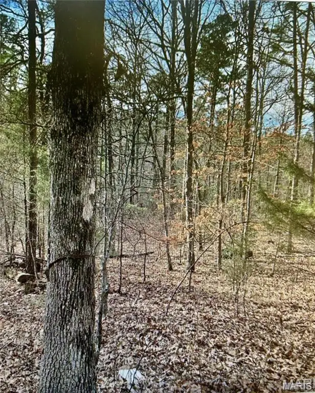 10365 Prices Trail, Potosi, MO 63664 - #1