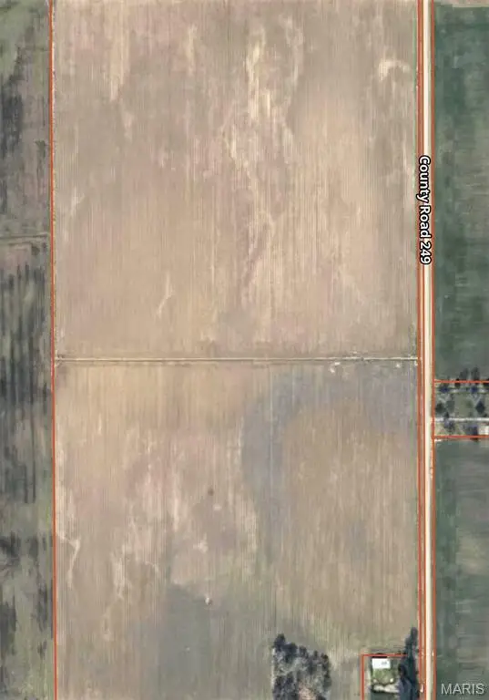 0 County Road 258, Hayti, MO 63851 - #1