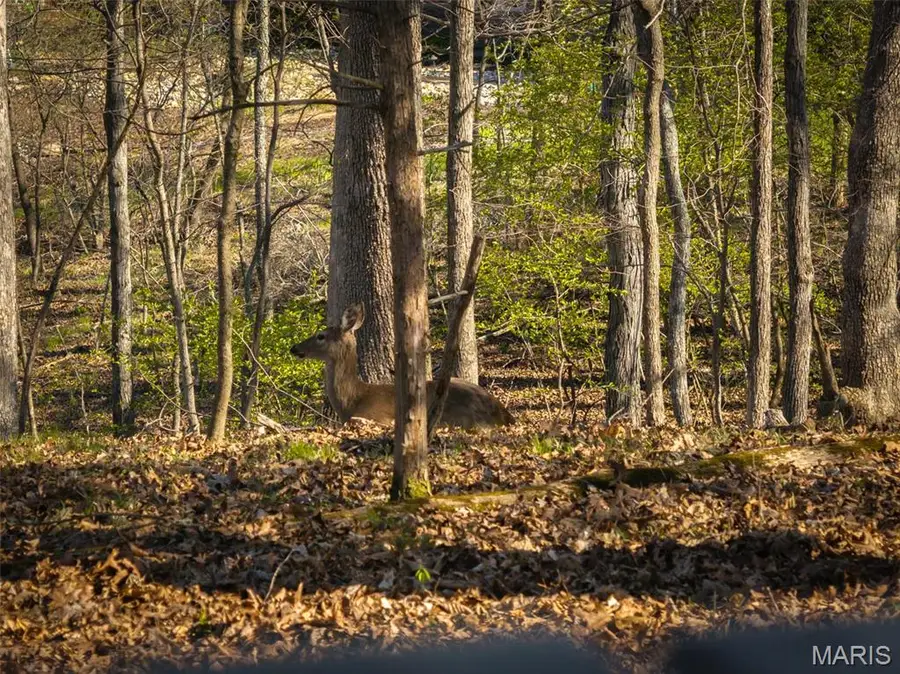 1126 Mitten Ridge Drive, Innsbrook, MO 63390 - #3