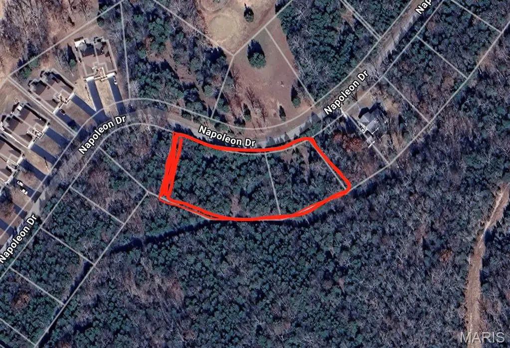 0 Napoleon Drive, Bonne Terre, MO 63628 - #1