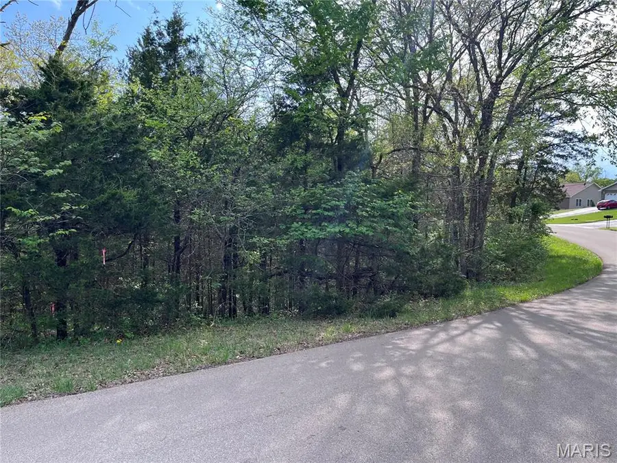 0 Napoleon Drive, Bonne Terre, MO 63628 - #3